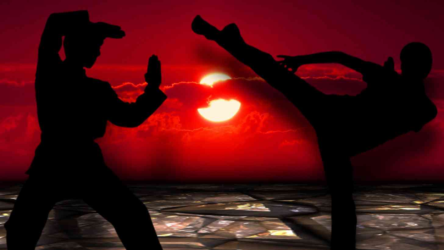 martial arts, 1 2 kick fight